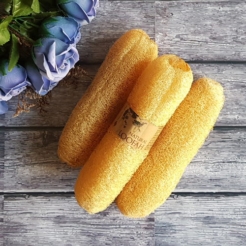 Combo 5 xơ mướp trái ECOLIFE KOREA (15 - 19 cm)