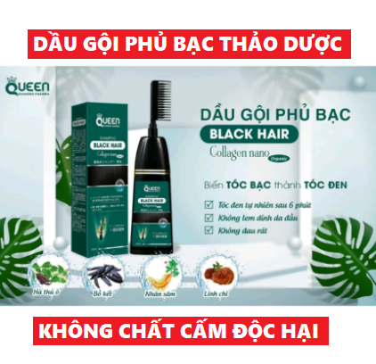 Dầu gội nhuộm Tóc Queen phủ bạc Thảo Dược,  phủ đen,phủ nâu tóc tự nhiên.[Hộp 200ML, HSD 2026]