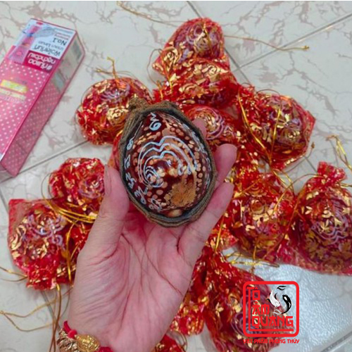 Phép bùa ốc bia ke phong thủy Thái Lan cầu tài - bảo vệ - giàu có - đã làm phép
