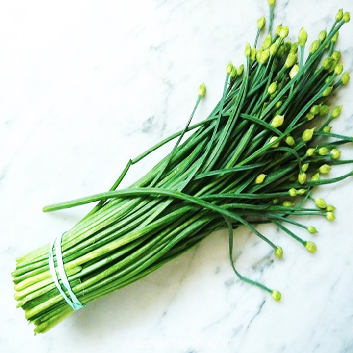 gói 5gr  hạt giống hẹ bông mua 5 sản phẩm tặng 1