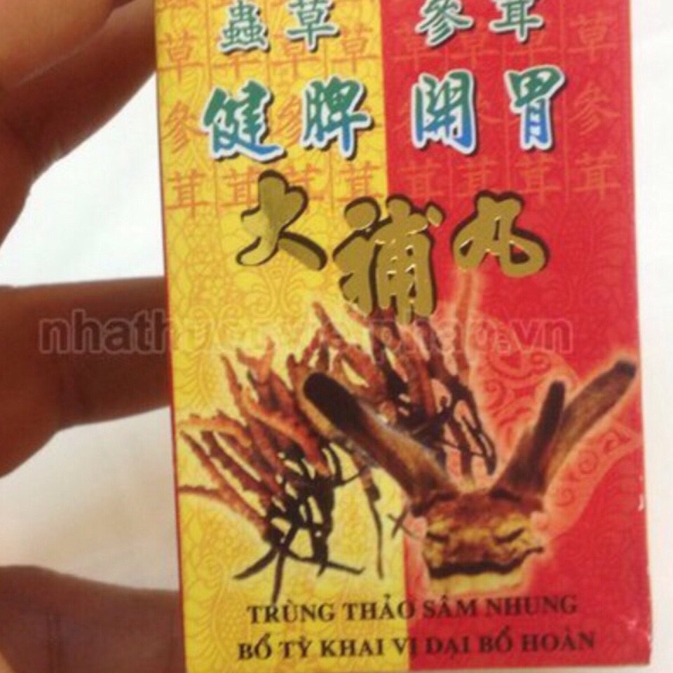 Trùng thảo sâm nhung giúp ăn ngon ngủ khoẻ tăng cường sinh lực