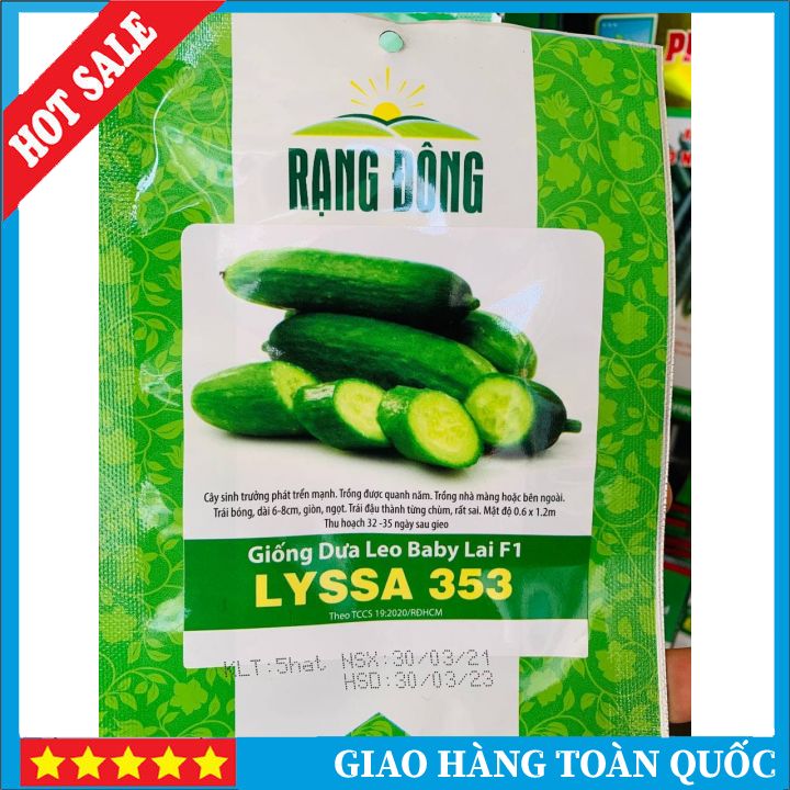 Hạt giống dưa leo baby, dưa leo chùm, siêu nhiều trái