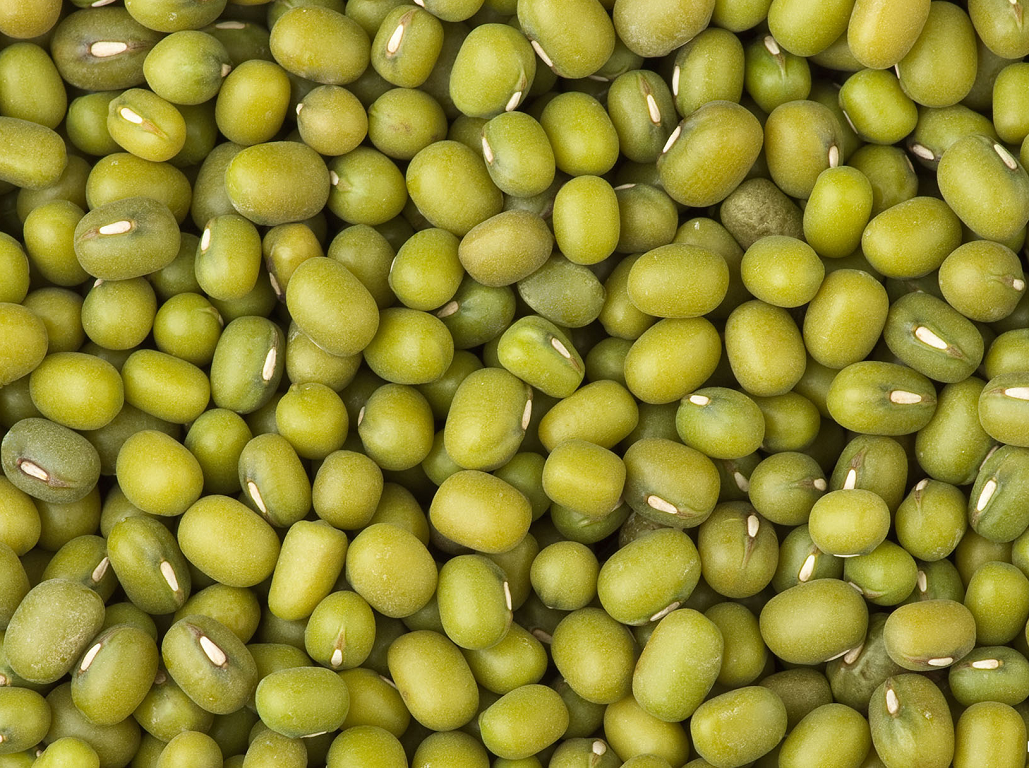 1kg Đậu xanh làm giá đỗ / Đỗ xanh phơi nắng tự nhiên