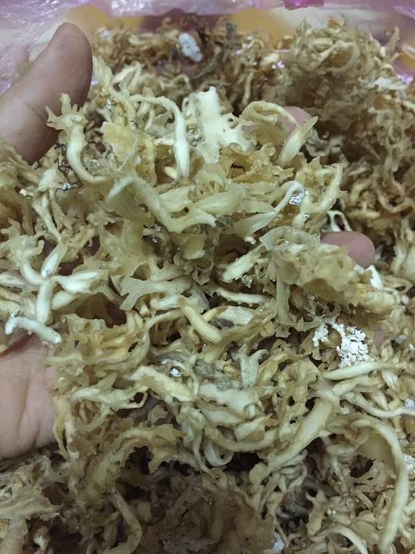 1kg rau câu chân vịt lý sơn tự nhiên sạch không tẩy_tramshop1993