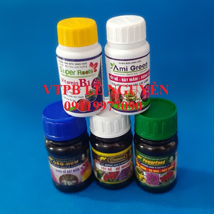 Combo kích rễ, bật mầm cho lan