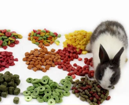 Nén rau củ, hoa quả, nén cỏ ăn vặt mài răng cho Thỏ, bọ ú, hamster