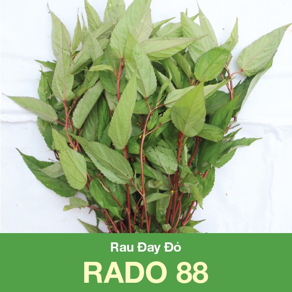 Hạt giống rđ-rau đay đỏ 88 - 7k
