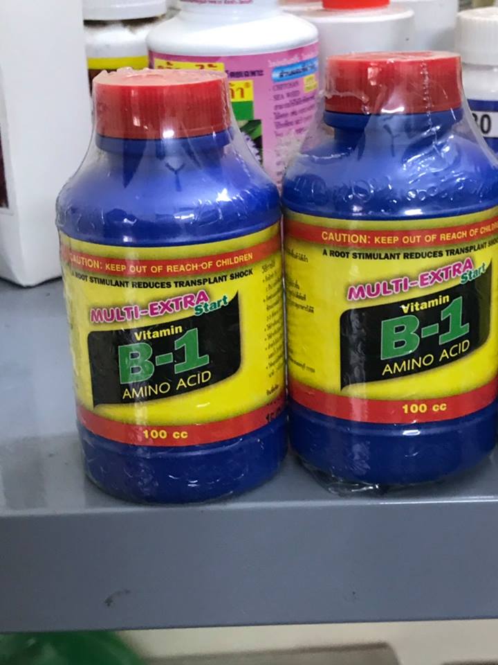 Fuji start vitamin b1 chai 100ml