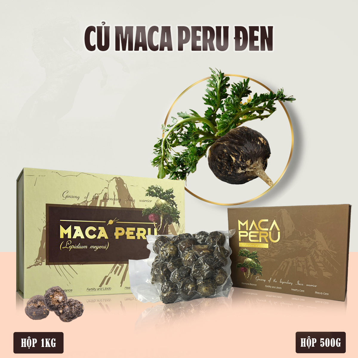 Sâm Maca Peru đen củ khô 1kg (Lepidium Meyenii) Black Maca Peru natural root dried Ngâm rượu, sắc thuốc, pha trà