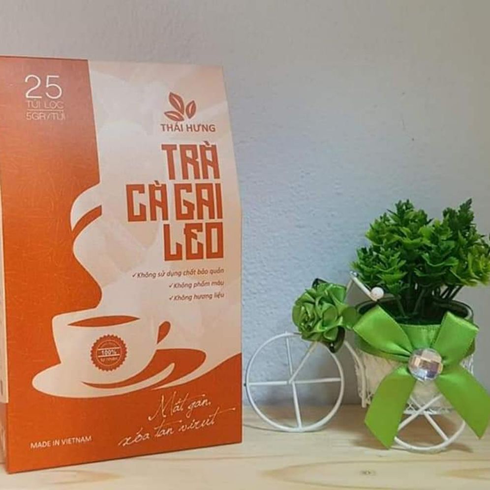 Trà cà gai leo Thái Hưng