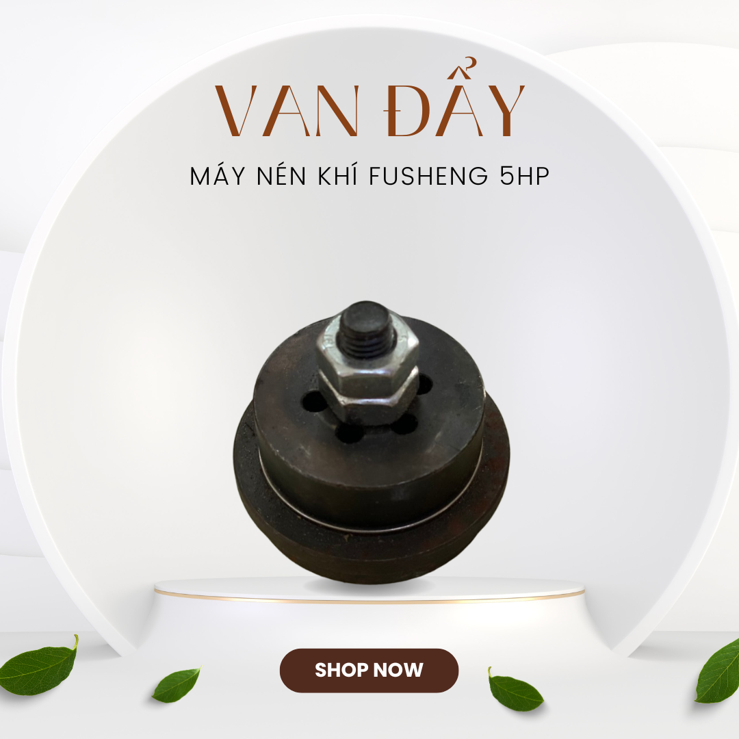 Van Đẩy Máy Nén Khí Fusheng 5HP