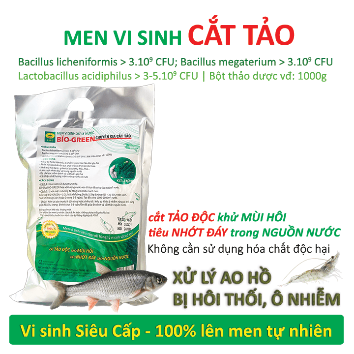 Men vi sinh Cắt Tảo - Xử lý nước ao hồ nuôi Cá Tôm bị ô nhiễm hôi thối - Phân hủy cặn bã dư thừa - Làm trong, sạch nguồn nước, giảm độ đục