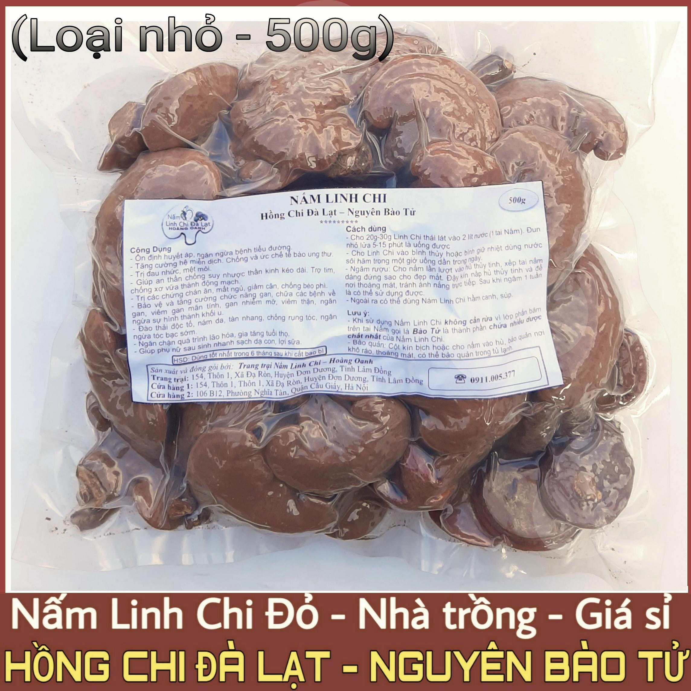 Nấm linh chi đỏ nguyên bào tử nhà trồng - hồng chi đà lạt 500g