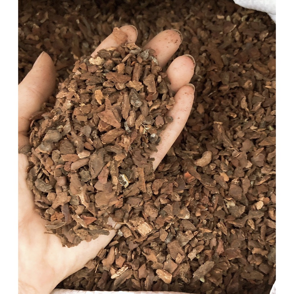 Vỏ Thông Trồng Lan Nhỏ Vụn Cỡ Hạt Đỗ Đã Xử Lý 1 Kg