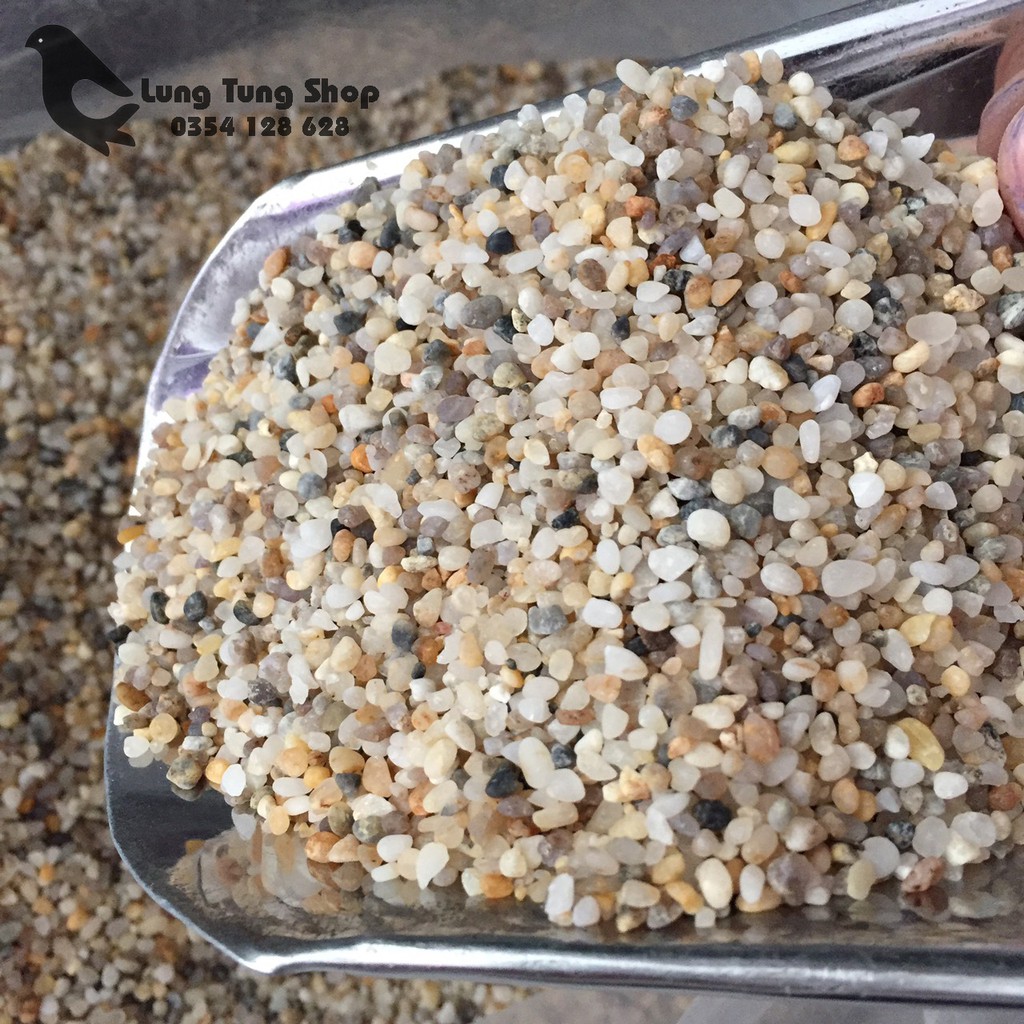1 kg Sỏi suối nhỏ trải nền hồ cá thủy sinh