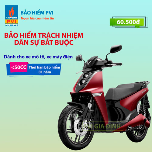 Toàn Quốc [E-Voucher] Bảo Hiểm Trách nhiệm dân sự PVI - Xe Mô Tô 2 bánh dưới 50cc và Xe Máy Điện - 1 năm