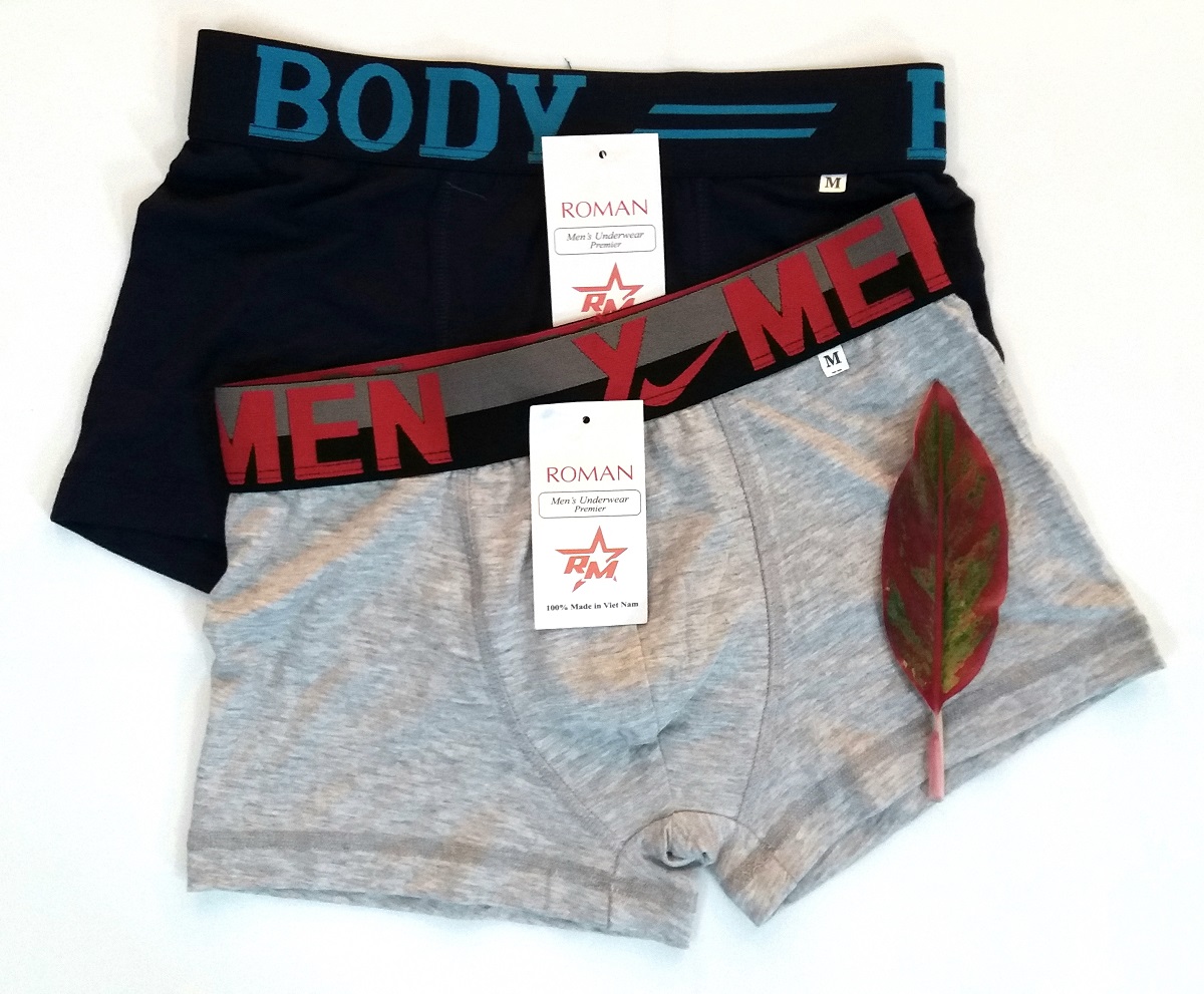 QUẦN LÓT NAM, QUẦN SỊP ĐÙI NAM, VẢI 95% COTTON LỤA , CO GIÃN 4 CHIỀU, THẤM HÚT MỒ HÔI, THOÁNG MÁT- HÀNG CÔNG TY ĐÔNG MINH ( ẢNH THẬT)