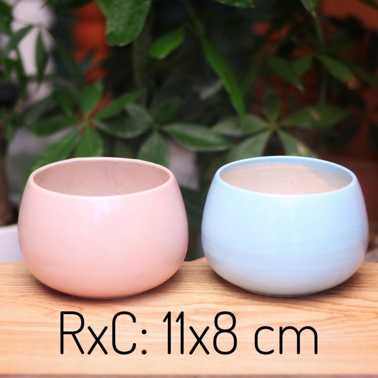 [HCM]Chậu Sứ Trồng Cây Cảnh Nội Thất Sen Đá Xương Rồng Cây Cảnh Mini Mẫu Hạt Dẻ Chậu được phủ một lớp men sứ bên ngoài rất trong và sờ rất mát tay là sản phẩm tinh xảo từ làng gốm Bát Tràng