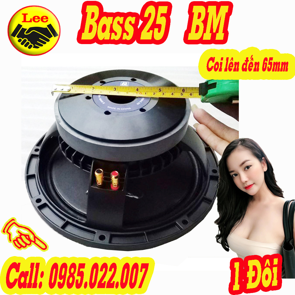 2 CỦ LOA BASS 25 BM CHINA COIL 65 CAO CẤP
