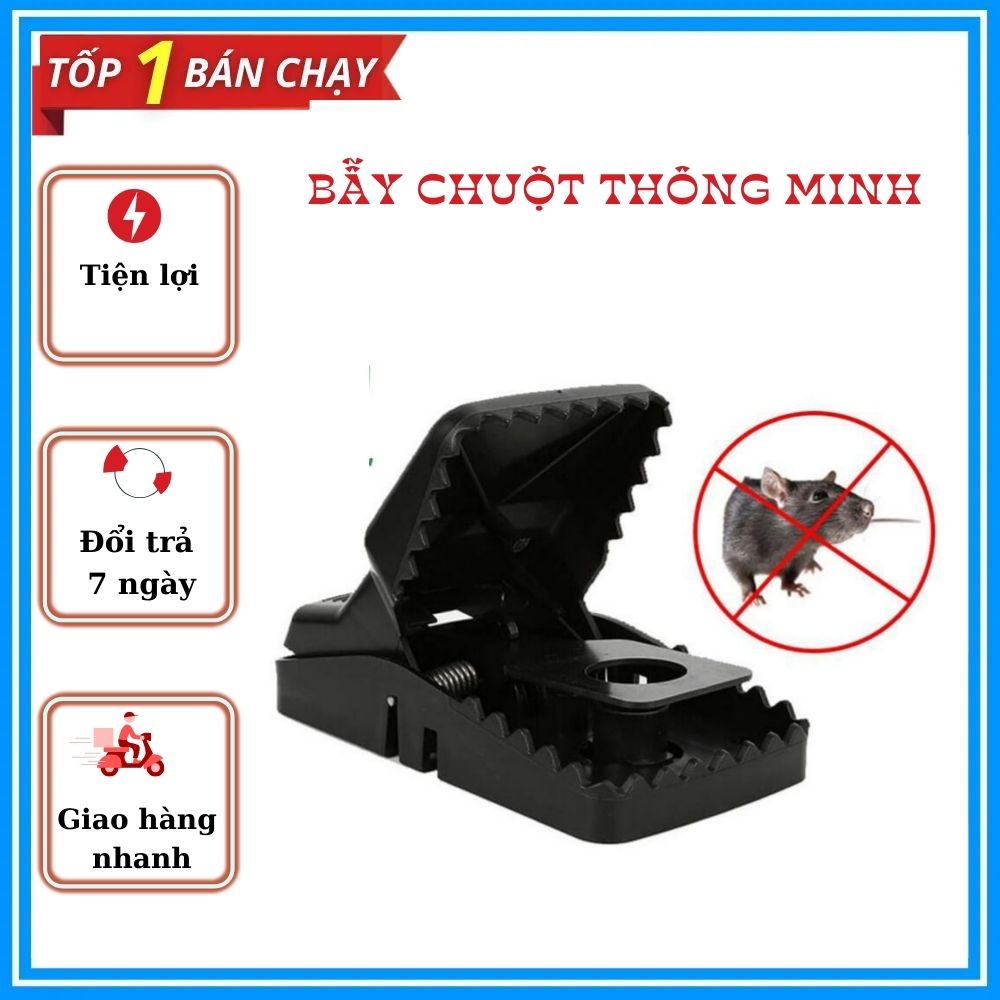 Combo 3 Kẹp bẫy chuột thông minh