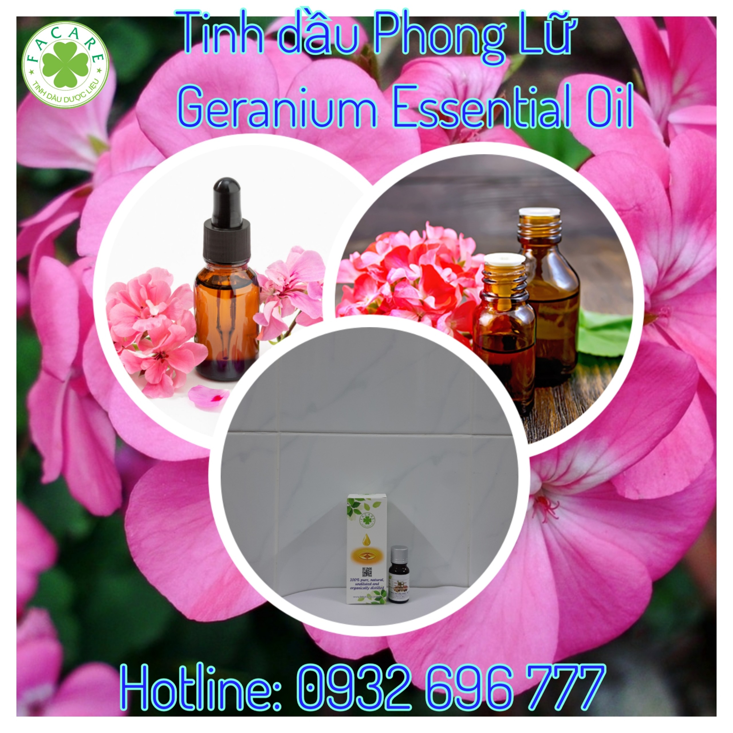 Tinh dầu phong lữ geranium essential oil - 10ml