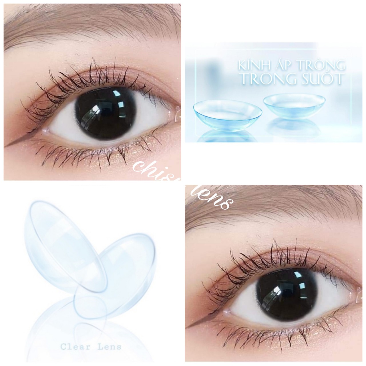 Lens - Kính áp tròng trong suốt độ cận từ 1 đến 6 độ (sử dụng 1 năm) tặng kèm khay đựng (khay đơn chưa kèm dụng cụ đeo)-Chisu Lens