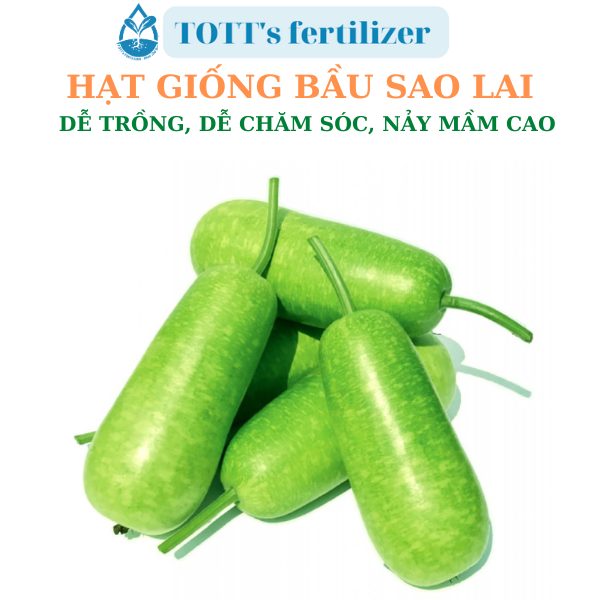 Hạt giống Bầu sao lai dễ nảy mầm dễ trồng TOTT's fertilizer
