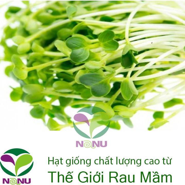 Hạt giống rau mầm củ cải trắng New Zealand - 1Kg
