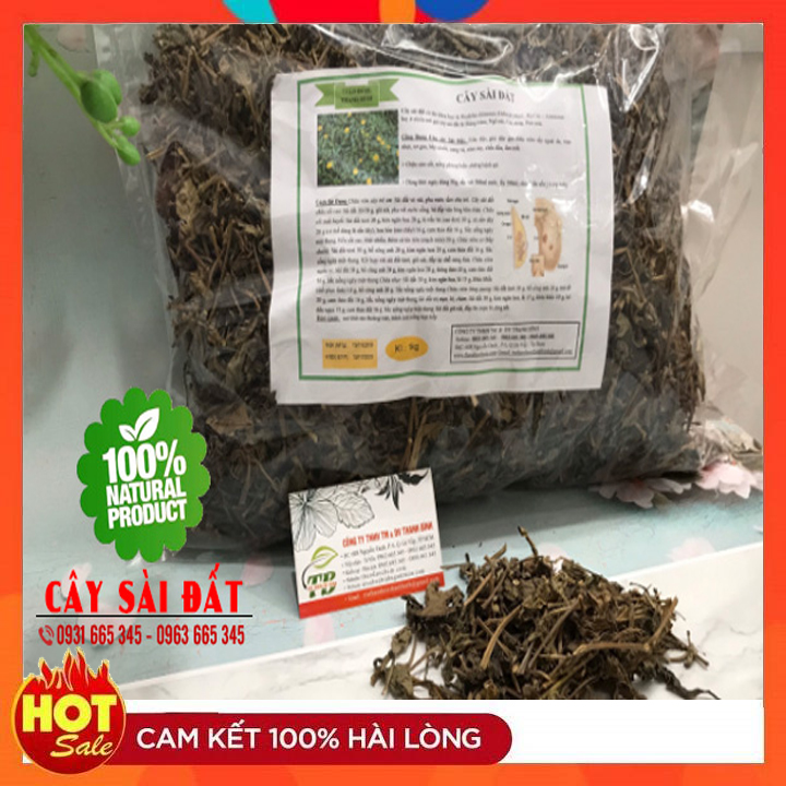 Cây Sài Đất Khô 500G Hàng Cty Loại 1 - Thảo Dược Thanh Bình