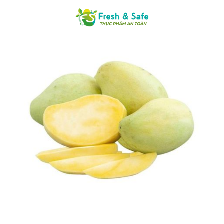 [HOẢ TỐC HCM] Xoài Xanh Tứ Quý - 3kg (sỉ)