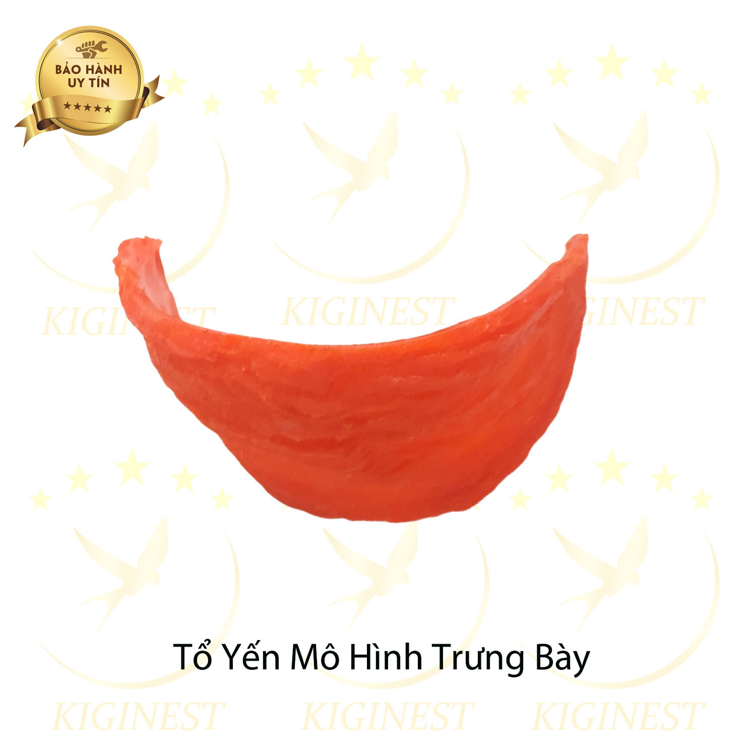 TỔ YẾN TRƯNG BÀY TRONG CÁC SHOWROOM CỬA HÀNG YẾN - YẾN NHỰA TRƯNG BÀY