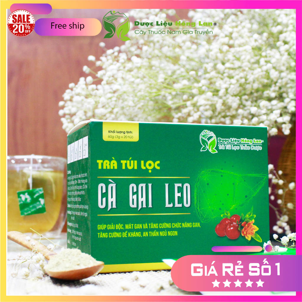 Trà Túi Lọc Cà Gai Leo 60g (20gói x 3g) Dược Liệu Hồng Lan - (Giúp giải độc, mát gan và tăng cường chứ năng gan, an thần ngủ ngon)