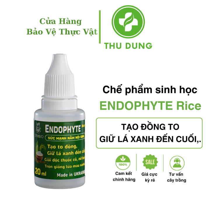Endophyte 20ml symbio tạo to đòng, xanh lá đến cắt, nở bụi