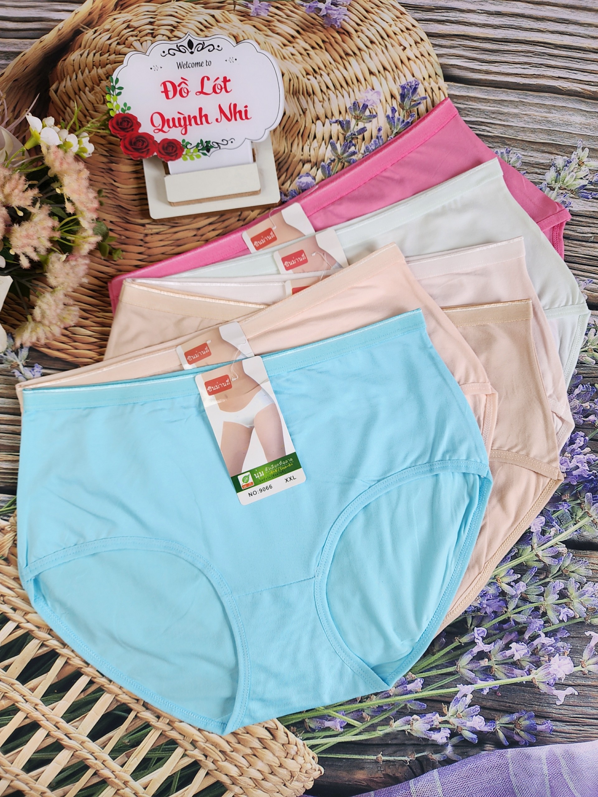 Combo 5 Và 10 Quần Lót BᶖgSize Nữ Cotton Co Giãn Tốt Mặc Thoải Mái Thấm Hút Mồ Hôi Size : 60 - 90 Kg [9066] - Đồ Lót Quỳnh Nhi