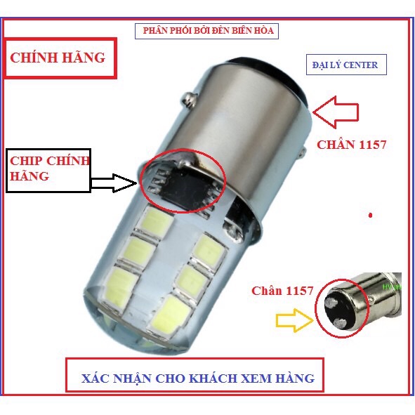 Đèn phanh chớp F1 12 tim lớn