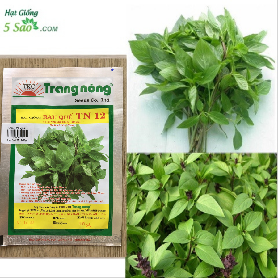 Rau quế tn12