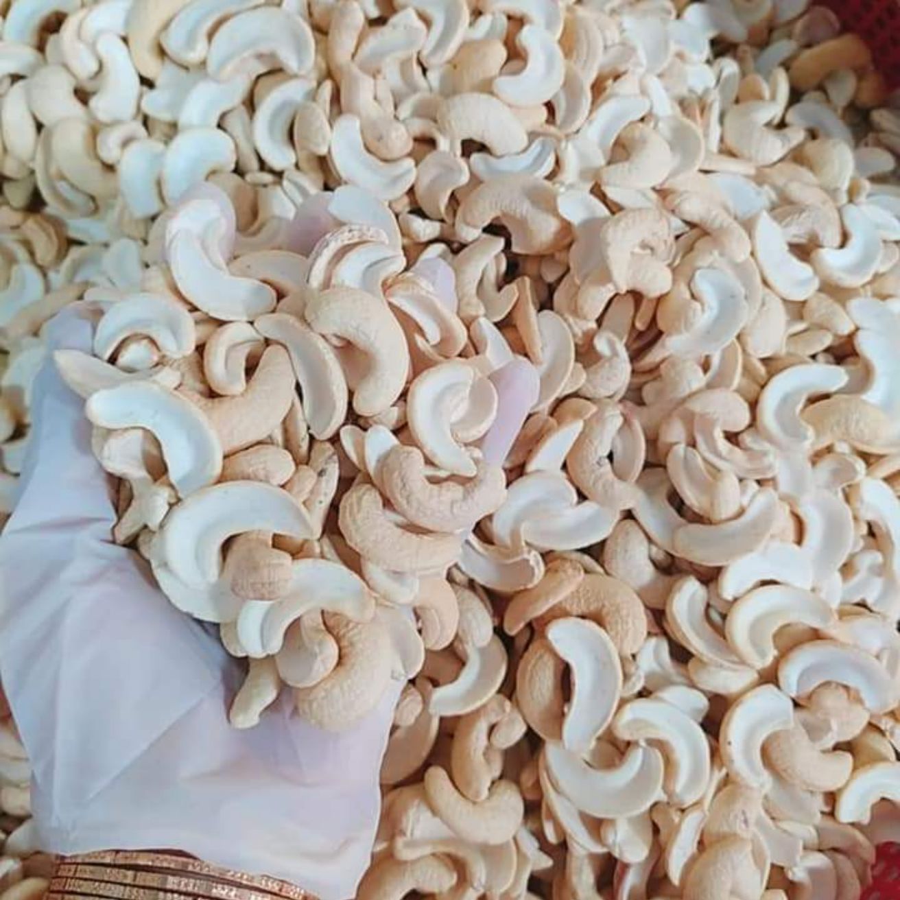 Hạt điều tươi sạch trắng làm sữa 1kg