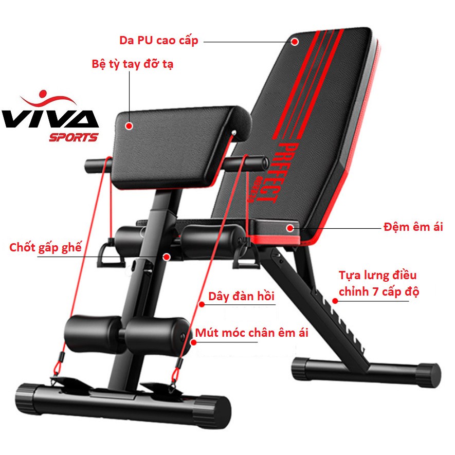 Ghế tập tạ đa năng p189 - vivasports