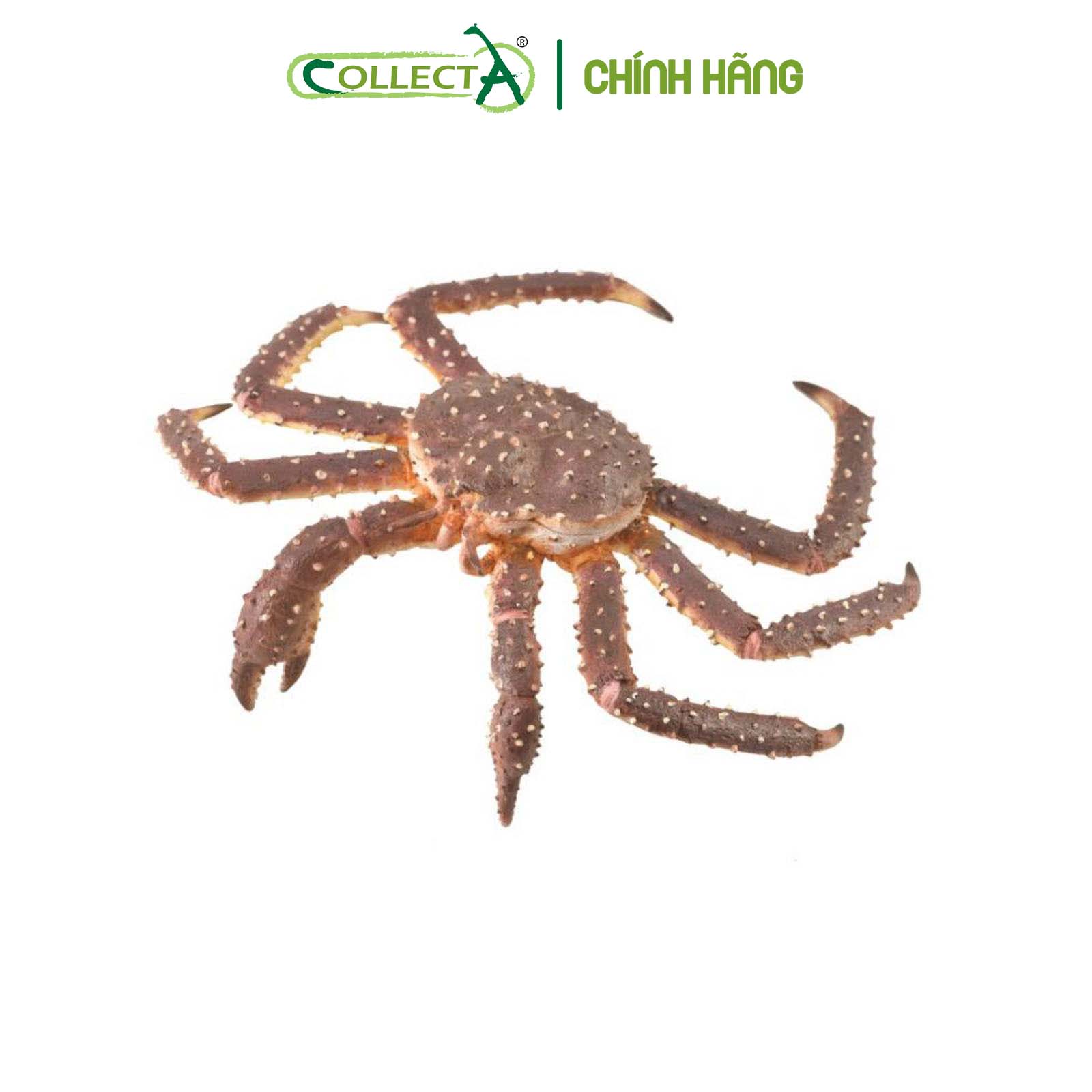 Đồ chơi mô hình động vật CollectA Cua Hoàng Đế - King Crab