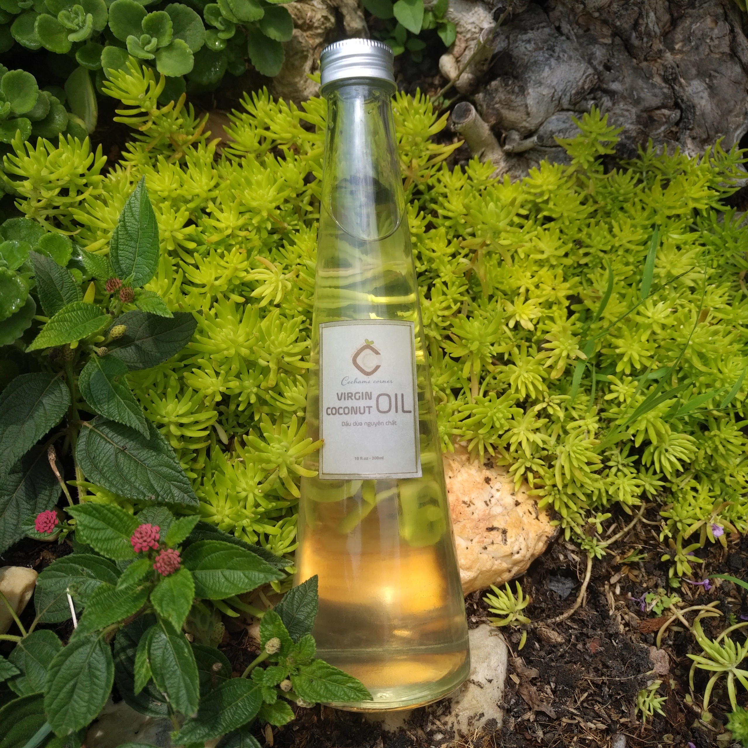 Dầu dừa nguyên chất 100% (Virgin Coconut Oil) - 300ml