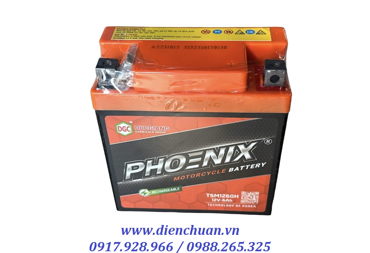 Ắc quy xe máy phoenix tsm1260h
