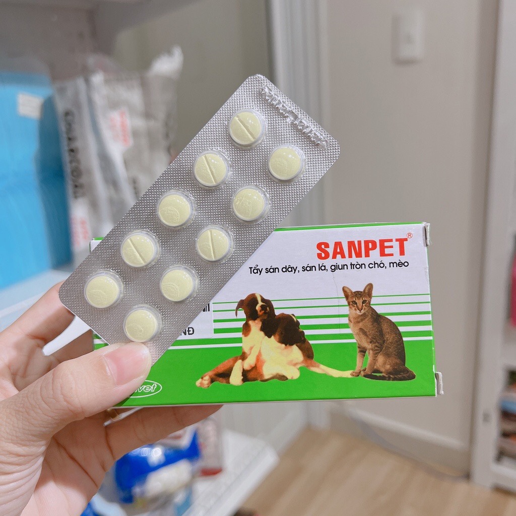 tiu diê.ttt run sánnn ngu ngốc cho chó mèo