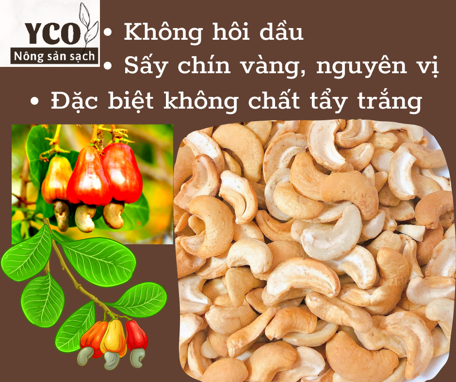 500g hạt điều sữa bể đôi sấy chín nguyên vị sạch lụa; điều bể đôi; điều không rang muối nsstea2024