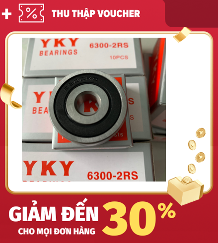 Bạc đạn 6300 - 2rs vòng bi 6300 - 2rs
