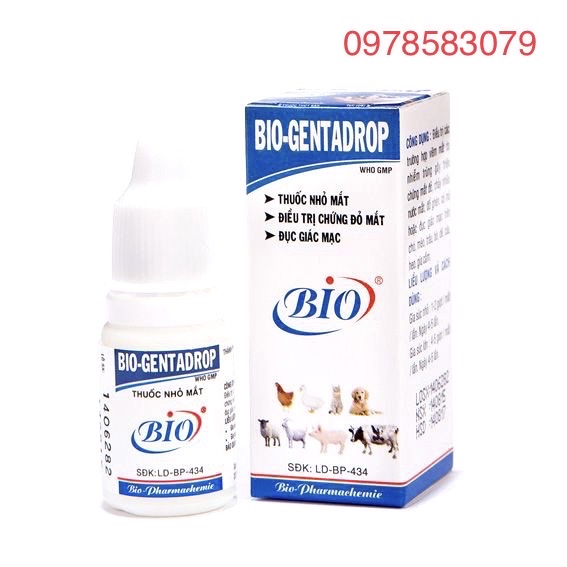 Bio Gentadrop(10ml) Gà đá, gà kiểng, thú cảnh có bọt mắt, sùi bọt, đau mắt