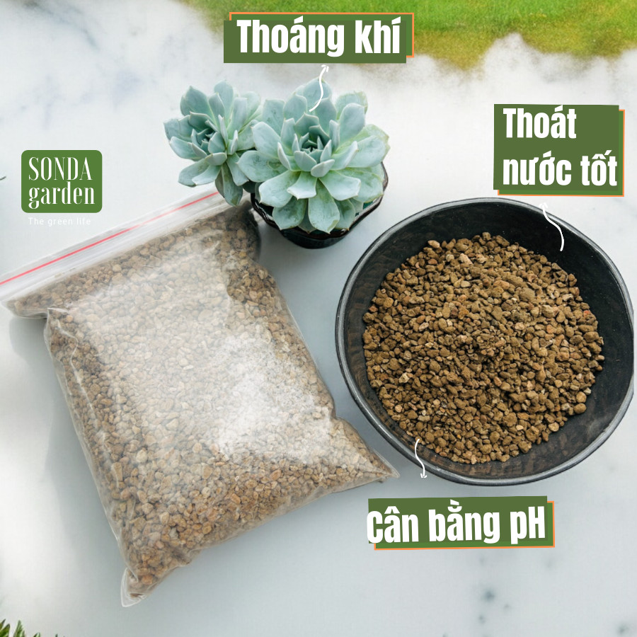 ĐÁ PUMICE (1kg) SIÊU PHẨM CHO SEN ĐÁ TRONG TRUYỀN THUYẾT
