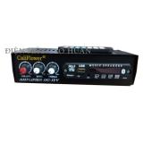 Amply dc 12v có usb / bluetooth / thẻ sd / fm califlower