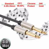 Cáp 2 đầu 6.35/6.5mm jack cắm mạ vàng 24k 3 mét ugreen 10639