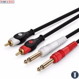 Cáp chuyển 2 jack RCA sang 2 jack 6.3mm