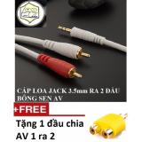 [HCM]Cáp loa Jack 3.5mm ra 2 đầu bông sen AV dài 3M JSJ Tặng Jack chia AV 1 ra 2